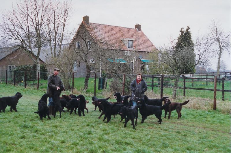 Onze speelwei.jpg
